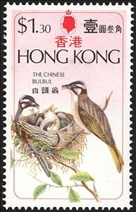 Stamp, Chinese Bulbul (Pycnonotus sinensis) , Hong Kong,  , Birds