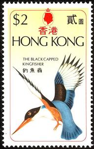 Stamp, Black-capped Kingfisher (Halcyon pileata), Hong Kong,  , Birds