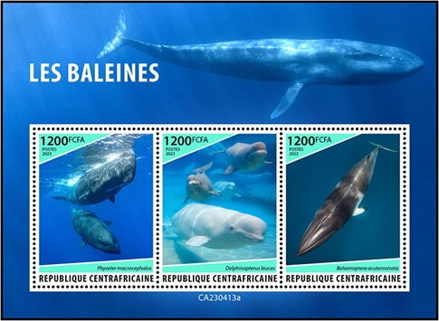 Whales