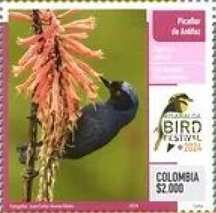 Masked Flowerpiercer (Diglossa cyanea)