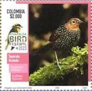 Stamp, Ocellated Tapaculo (Acropternis orthonyx), Colombia,  , Animals (Fauna), Birds