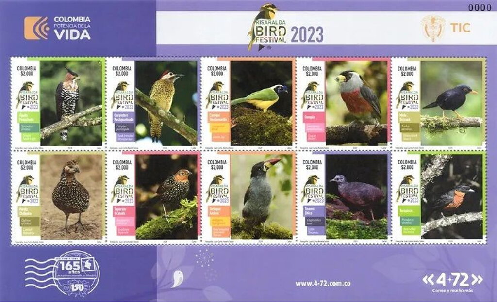 Risaralda Bird Festival 2023
