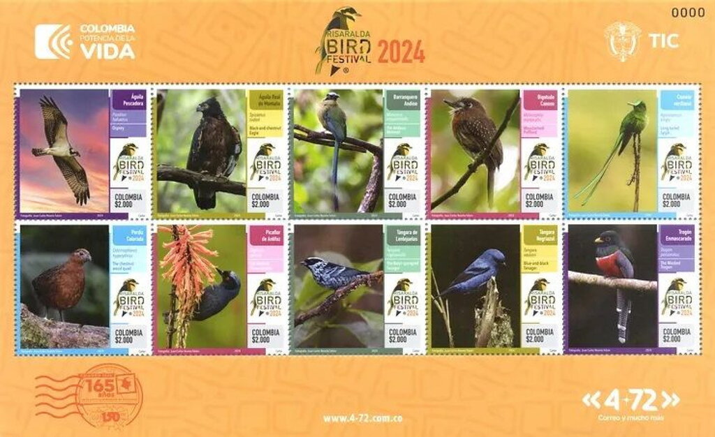 Risaralda Bird Festival 2024
