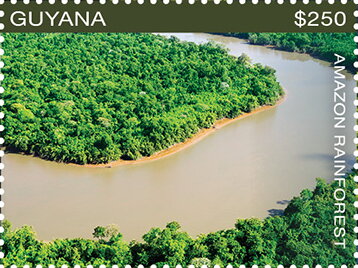 Aerial View of Forest and Bend in River