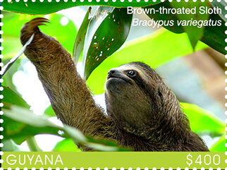 Stamp, Brown-Throated Sloth (Bradypus variegatus), Guyana,  , Animals (Fauna), Mammals