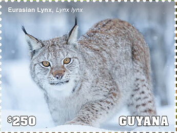 Stamp, Eurasian Lynx, Guyana,  , Animals (Fauna), Lynx