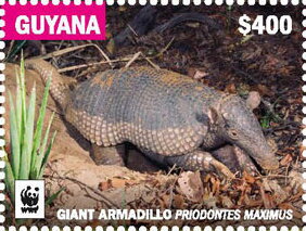 Giant Armadillo (Facing Right)