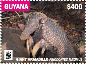 Stamp, Giant Armadillo Emerging from Burrow, Guyana,  , Animals (Fauna), WWF