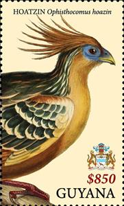 Stamp, Hoatzin, Guyana,  , Animals (Fauna), Birds