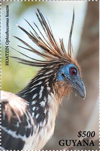 Stamp, Hoatzin (Head and Neck, Facing Right), Guyana,  , Animals (Fauna), Birds