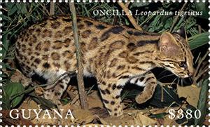 Stamp, Oncilla (Leopardus tigrinus), Guyana,  , Animals (Fauna), Mammals, Wild Cats