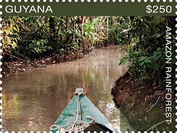Prow of Canoe in Narrow Channel through Thick Forest