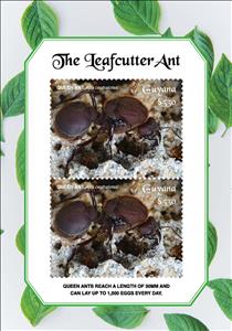 Souvenir Sheet, Queen Ant, Guyana,  , Animals (Fauna), Insects