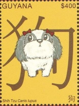Shih Tzu