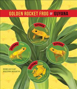 Mini Sheet, Various Depictions of Frog, Guyana,  , Amphibians, Animals (Fauna), Frogs
