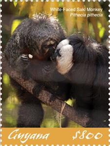 Stamp, White-Faced Saki Monkey, Guyana,  , Animals (Fauna), Monkeys