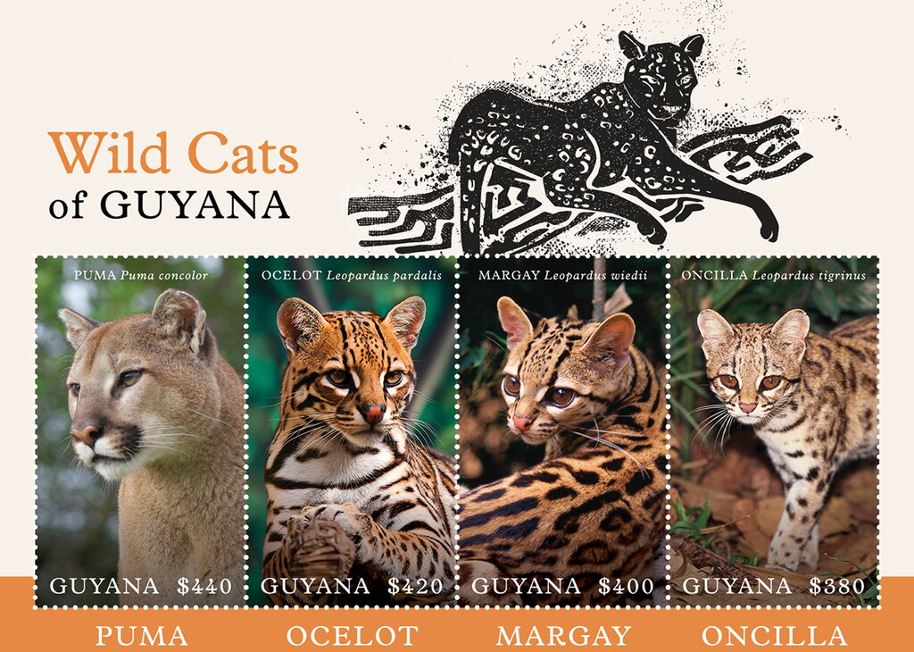 Wild Cats of Guyana