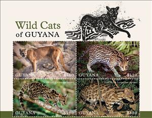 Mini Sheet, Wild Cats of Guyana, Guyana,  , Animals (Fauna), Mammals, Wild Cats