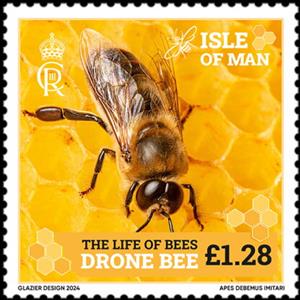 Stamp, Drone Bee, Isle of Man,  , Animals (Fauna), Bees, Insects