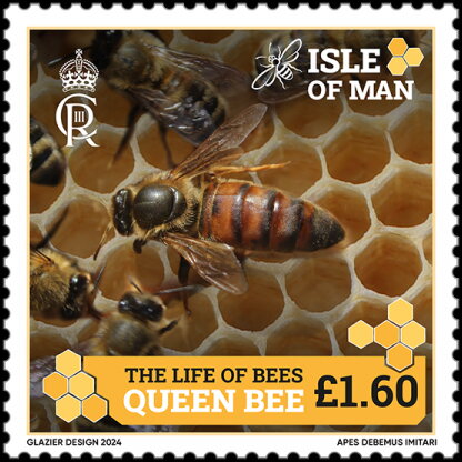 Queen Bee