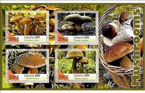 Mini Sheet, Mushrooms, Liberia,  , Mushrooms