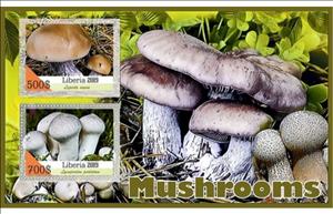 Mini Sheet, Mushrooms, Liberia,  , Mushrooms