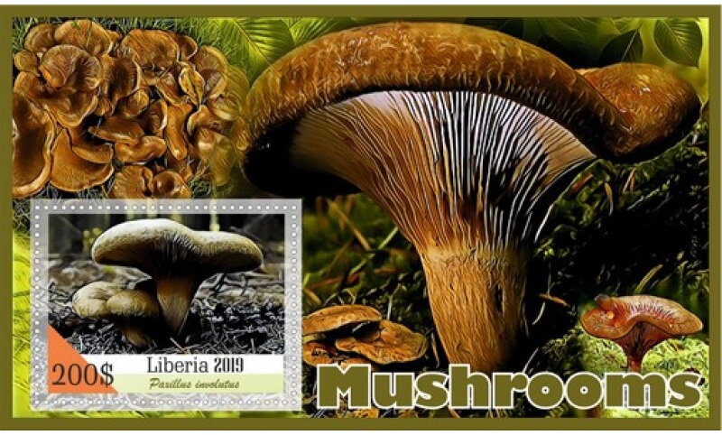 Mushrooms