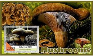 Souvenir Sheet, Mushrooms, Liberia,  , Mushrooms