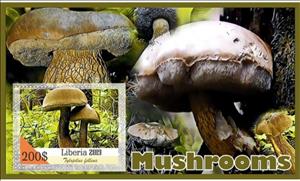 Souvenir Sheet, Mushrooms, Liberia,  , Mushrooms