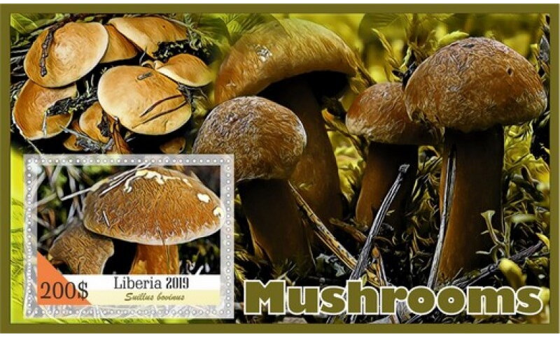 Mushrooms