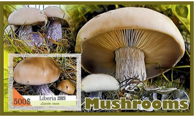 Mushrooms