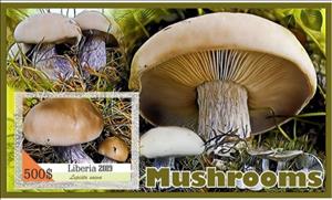 Souvenir Sheet, Mushrooms, Liberia,  , Mushrooms