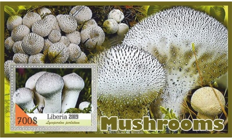 Mushrooms