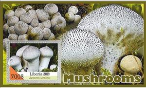 Souvenir Sheet, Mushrooms, Liberia,  , Mushrooms