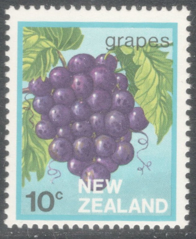 Grapes (Vitis vinifera) - Cream Paper