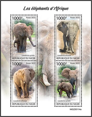 African Elephants