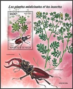 Souvenir Sheet, Alchemilla alpina/Lucanus hircus, Niger,  , Animals (Fauna), Beetles, Insects, Plants (Flora)