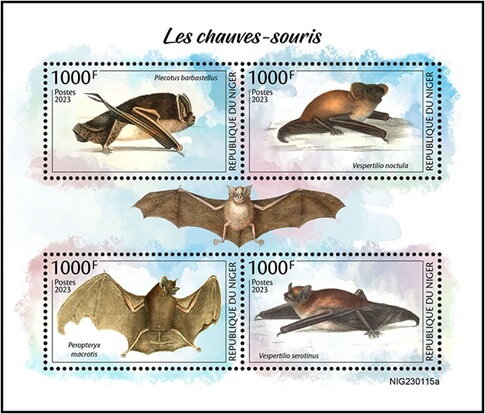 Bats