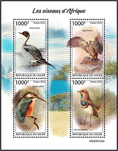 Birds of Africa