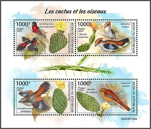 Cactuses and Birds
