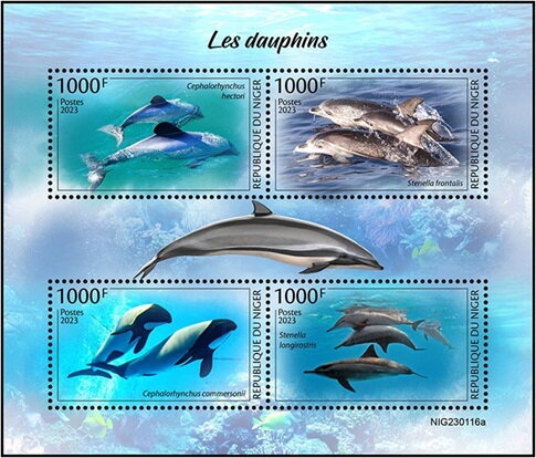 Dolphins