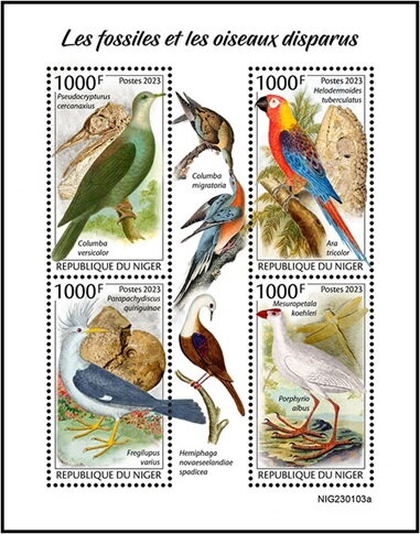 Fossils and Extinct Birds