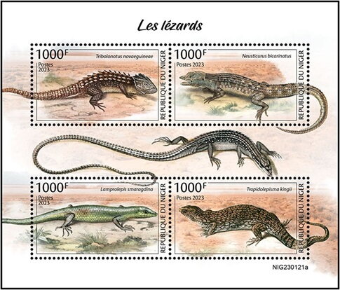 Lizards