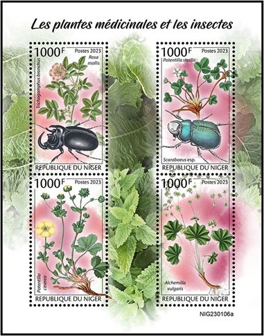 Medical Plants and Insects