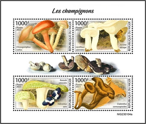Mushrooms and Insects