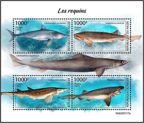 Sharks