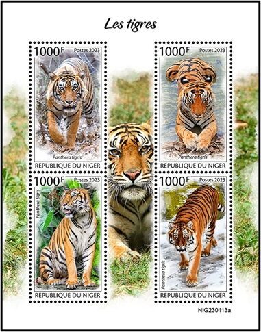 Tigers