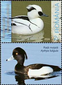 Stamp with Attached Label, Smew (Mergellus albellus), Romania,  , Animals (Fauna), Birds, Ducks