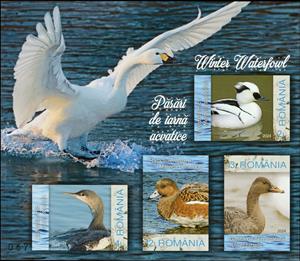 Souvenir Sheet, Tundra Swan (Cygnus columbianus), Romania,  , Animals (Fauna), Birds, Ducks, Geese, Swans