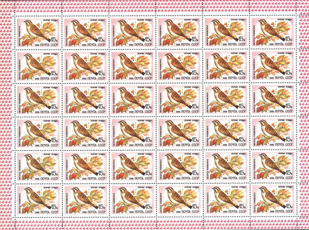 Jankowski's Bunting (Emberiza jankowskii)